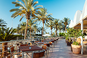 001_alta_senatoráguilas Terraza.jpg